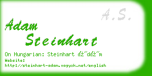 adam steinhart business card